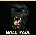 WILD SOUL