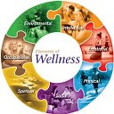 Клуб WELLNESS - фитнес, диеты, красота, здоровье