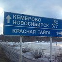 КРАСНАЯ ТАЙГА ИЖМОРСКОГО РАЙОНА