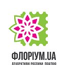 Интернет магазин Флориум - FLORIUM.UA