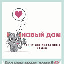 Приют для кошек "Новый дом", Передержка кошек