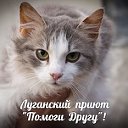 Луганский приют "Помоги Другу"!