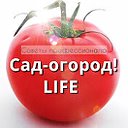 Сад огород life