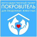 Приют для животных "Покровитель" г. Волгоград