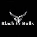 Рок-группа "Black Bulls"