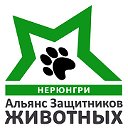 Альянс Защитников Животных — Нерюнгри.