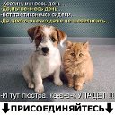 Я люблю животных