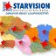 Starvision media group (Georgia)