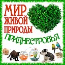 Мир живой природы Приднестровья