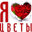 Цветы Ялта