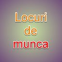 Locuri de munca