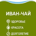 Иван-чай - Русский напиток с доставкой по миру!