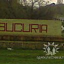 "BUCURIA "... cuibusor de bucurii