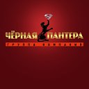 Группа компаний "Черная пантера"