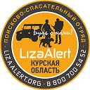 ДПСО "ЛизаАлерт" Курской области