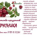 Агентство праздников БРУСНИКА  Уфа   Башкирия