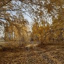 Недвижимость в Исилькуле