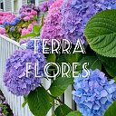 Питомник гортензий "Terra Flores"