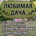 ЛЮБИМАЯ ДАЧА - мой уголок вдали от суеты!