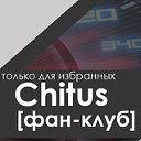 Chitus [фан-клуб]