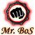 Mr.BoS