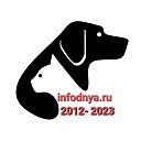 Infodnya.ru