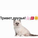 Привет,друзья!🌸🌺🌼