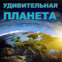 ОК - УДИВИТЕЛЬНАЯ ПЛАНЕТА (чудесное и интересное)