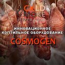 Cosmogen