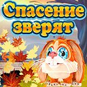 Официальная группа игры "Спасение Зверят"