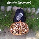 Грибы Кировской области