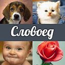 Ответы на вопросы к игре Словоед