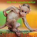Юмор - самые смешные и забавные картинки рунета!