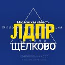 ЛДПР Молодёжная организация Щёлково