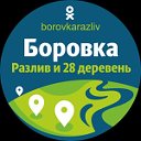 Боровка, Разлив и 28 деревень.