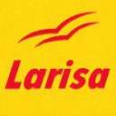 Агентство языковых переводов Larisa-Agency