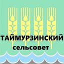 Таймурзинский сельсовет