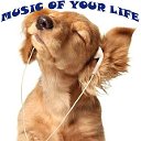 Music of your life • Цитаты и фото на каждый день