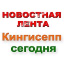 КИНГИСЕПП СЕГОДНЯ