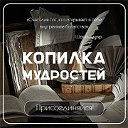 Копилка мудростей