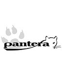 Pantera