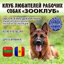 Клуб любителей рабочих собак "Зооклуб" ПМР Молдова