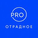 PRO Отрадное - Новости Кировского района