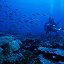 Подводный мир и морские истории