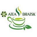 Atea Bratsk