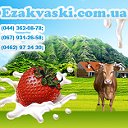 Закваски на сайте www.Ezakvaski.com.ua