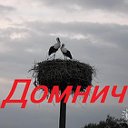 Домнич