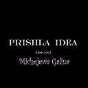 PRISHLA IDEA