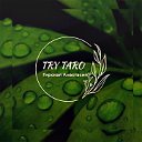 TRY TARO