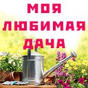 МОЯ ЛЮБИМАЯ ДАЧА